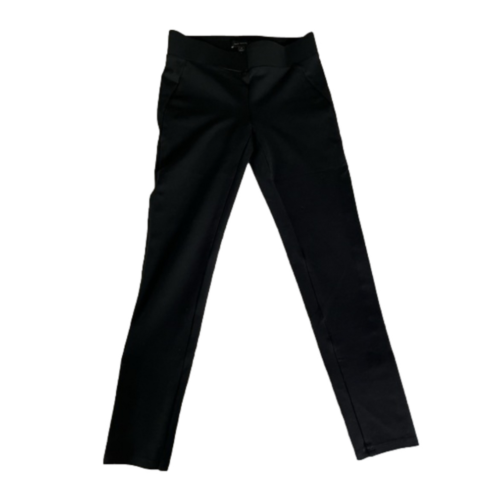Ann Taylor Fitted Pants